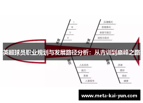 英超球员职业规划与发展路径分析：从青训到巅峰之路