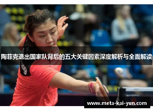 陶菲克退出国家队背后的五大关键因素深度解析与全面解读 陶菲克退出国家队背后的五大关键因素深度解析与全面解读
