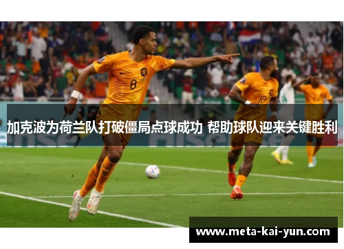 加克波为荷兰队打破僵局点球成功 帮助球队迎来关键胜利 加克波为荷兰队打破僵局点球成功 帮助球队迎来关键胜利